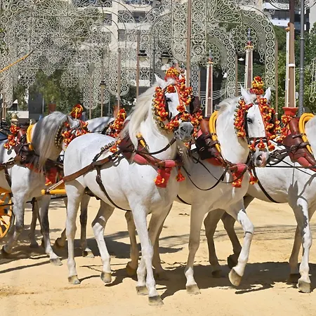 Bienvenidos A San Miguel 公寓 赫雷斯