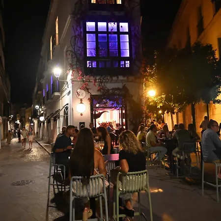 Bienvenidos A San Miguel Apartment *